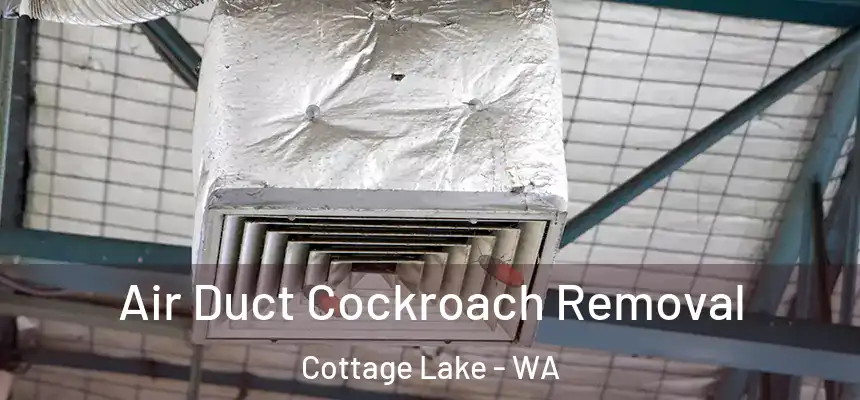  Air Duct Cockroach Removal Cottage Lake - WA