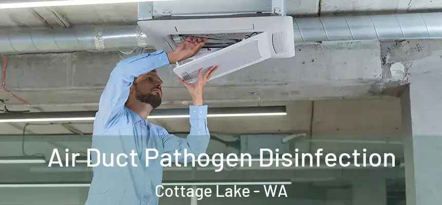 Air Duct Pathogen Disinfection Cottage Lake - WA