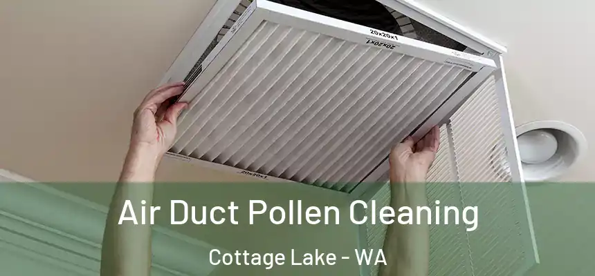 Air Duct Pollen Cleaning Cottage Lake - WA