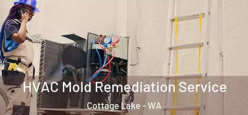 HVAC Mold Remediation Service Cottage Lake - WA
