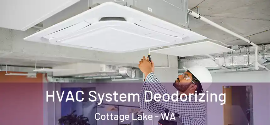  HVAC System Deodorizing Cottage Lake - WA