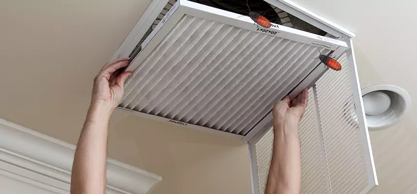 Preventive Cockroach-Proofing for Ducts in Cottage Lake