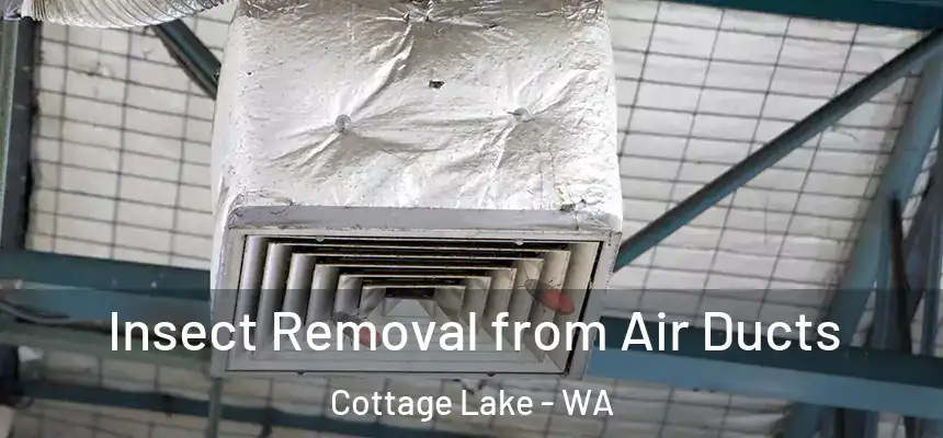  Insect Removal from Air Ducts Cottage Lake - WA