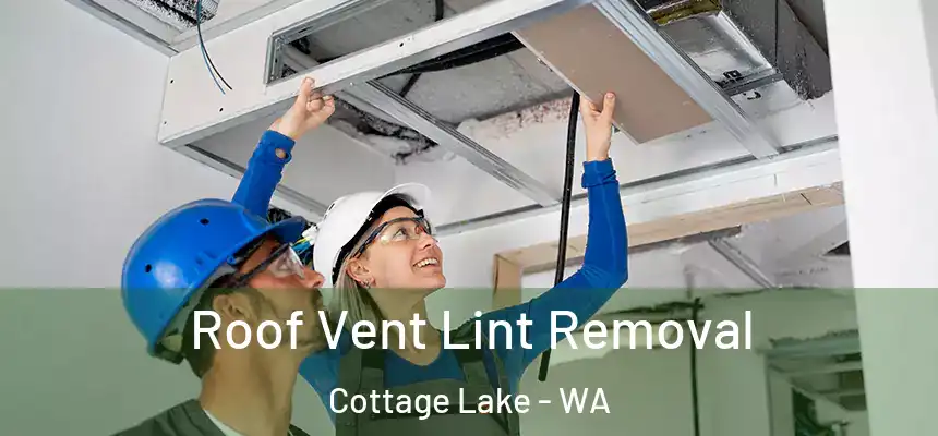 Roof Vent Lint Removal Cottage Lake - WA