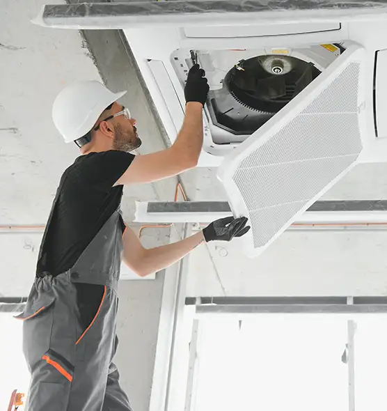 About Air Duct Rodent Removal in Cottage Lake, WA