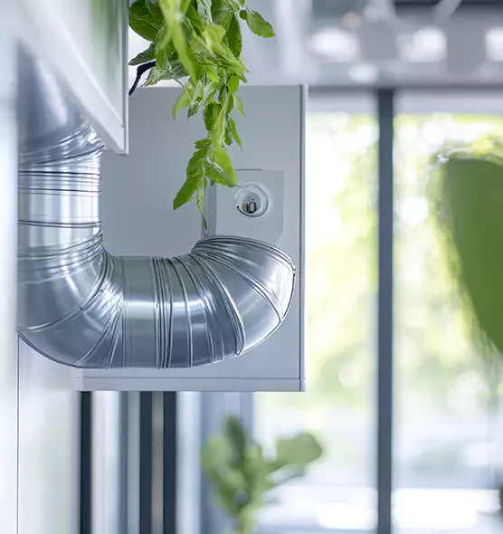 Professional Eco-Safe Dryer Vent Cleaning in Cottage Lake, WA