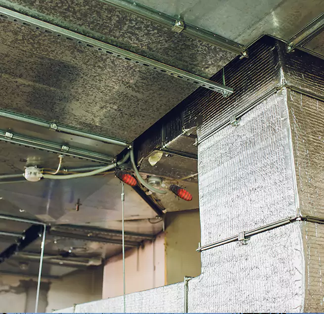 Why Homeowners & Businesses Trust Us in Cottage Lake, WA?