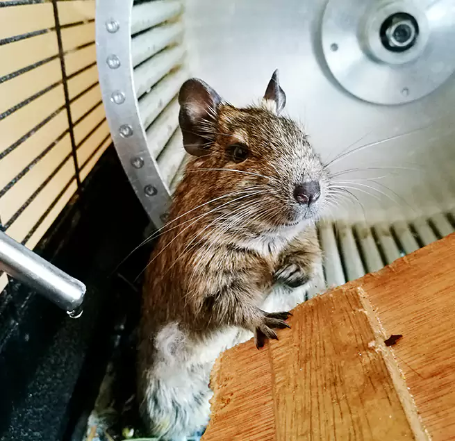 Why Homeowners & Businesses Trust Us Cottage Lake, WA