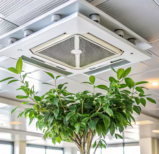 Why Homeowners & Businesses Trust Us in Cottage Lake, WA?