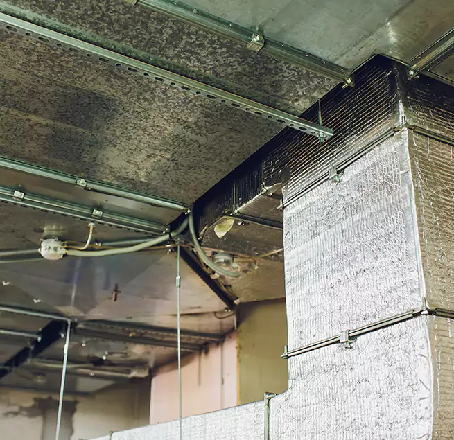 Why Homeowners & Businesses Trust Us in Cottage Lake, WA?