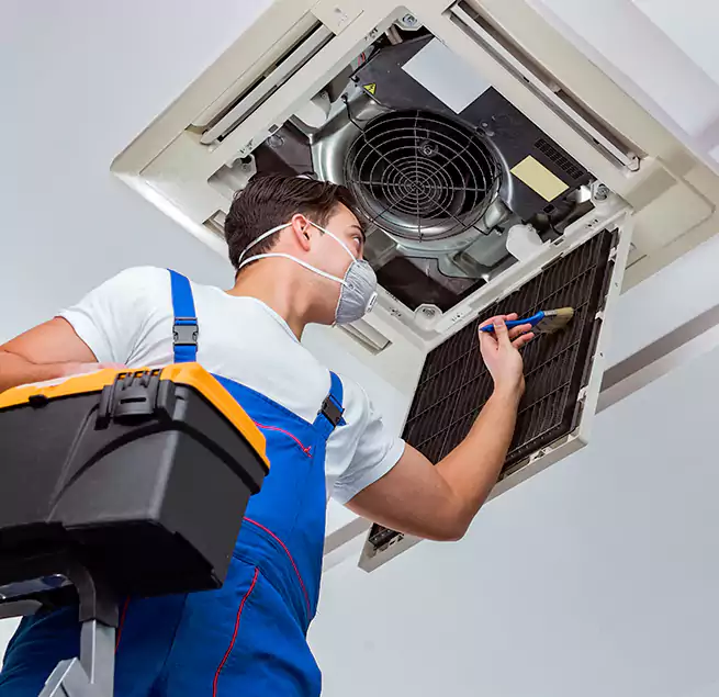 Why Homeowners & Businesses Trust Us in Cottage Lake, WA?