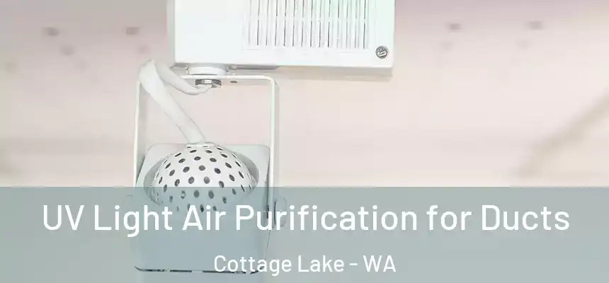  UV Light Air Purification for Ducts Cottage Lake - WA